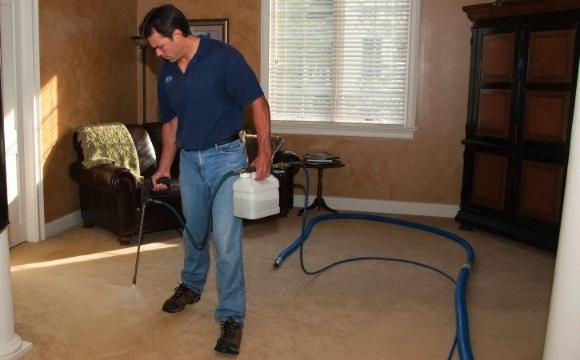 Как да почистите килима във вашия дом?