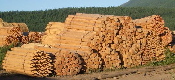 Колко правилно да се изчисли кубрането на дървения материал?
