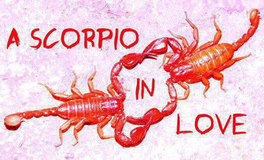 Как да се влюбиш в човек със Скорпион? Характеристики на знака. Как да разберем, че мъжът на Скорпион е влюбен