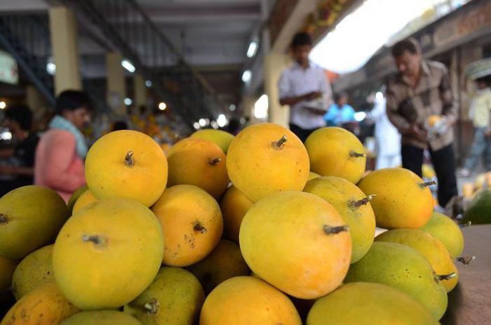 Mango. От ползите и вредите от тропически плодове