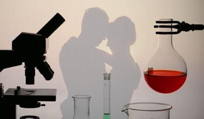 Какво е любовта от научна гледна точка?