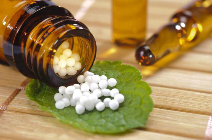 индикации за конюмна хомеопатия за употреба 